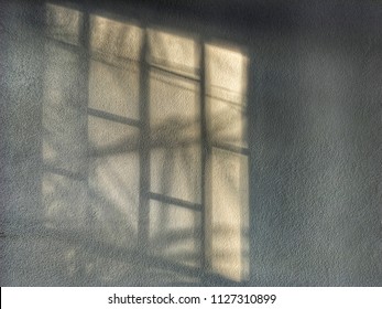 shadow of tree and leaves from window on wall