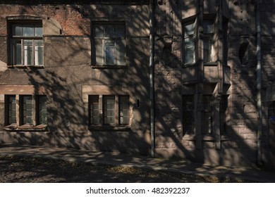 Shadow of tree on the facade of the old building