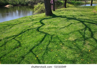 Shadow Of A Tree On Grass During Springtime At The Park With Fishing Lake In The Background, Mason Ohio