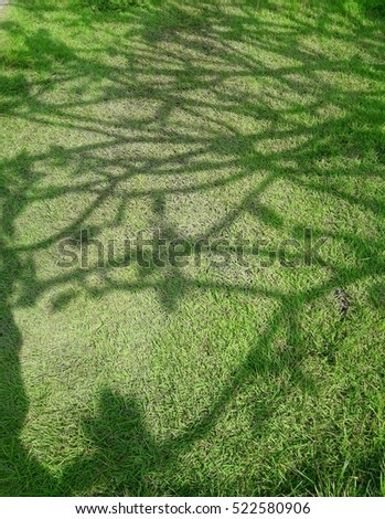 Similar – Image, Stock Photo herald of spring Scooter