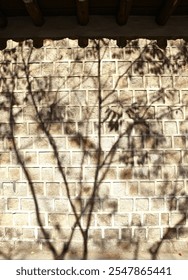 Shadow of a tree on a stone wall