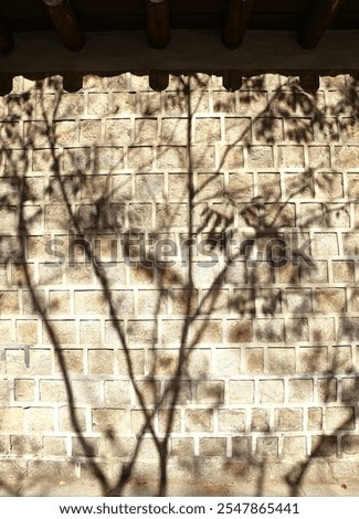 Shadow of a tree on a stone wall