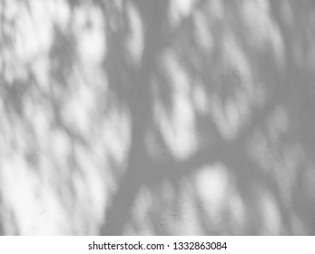 shadow of tree on white wall - Shutterstock ID 1332863084