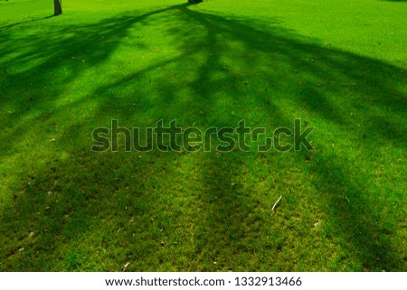 Similar – Golf Flag on Pristine Green at Sunset surrounded by lush trees in the warm glow of sunset. Perfect for illustrating the beauty of golf, nature, and serene outdoor sports.