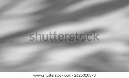 The shadow of a tree sways on a white background