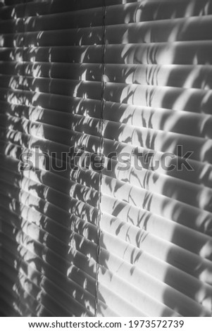 Similar – Image, Stock Photo 50: Mute III Window