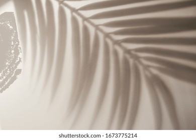 Shadow Of Tropical Leaves Background. Shadows From Palm Leaves On A White Wall Background.