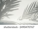 shadow from tropical palm leaves on the wall. Minimal abstract background for product. cement silhouette shadow reflection on grey concrete wall background, Empty White Studio Room with abstract light