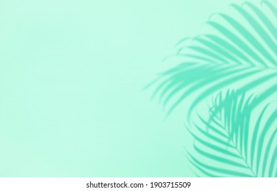 南国 背景 の画像 写真素材 ベクター画像 Shutterstock