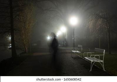 Shadow Walking In Night Park 