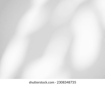 Shadow Wall Light Gray Cement Leaf Background,Overlay Light Nature blur Cement White Gray,Abstract Plant Tree Backdrop Sunlight Minimal Mockup,Reflection Leaves on Floor ,Autumn Summer Template Mockup