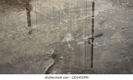 shadow in the water