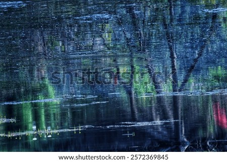 shadow in water and dark background 