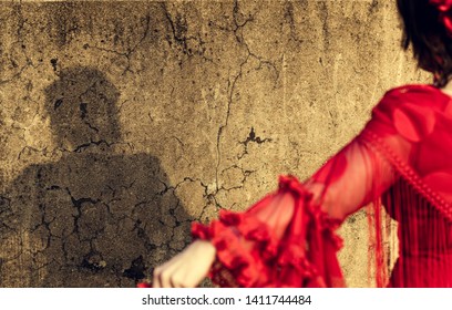 Shadow of woman dressed in flamenco dress on cracked wall, focus on wall shadow and out of focus dress