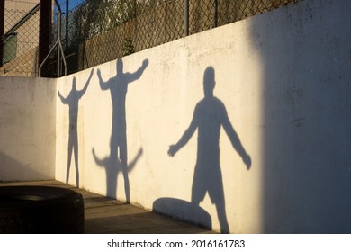 Shadows of athletes warming up before starting serious training.