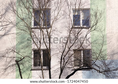 Similar – Foto Bild Novembersonne Baum Haus