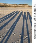 Shadows dancing on the beach
