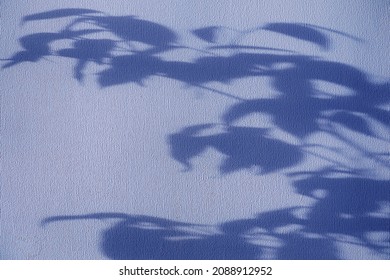 Shadows Of Flowers House Plant On Wall Wallpapers Grey Background. Desing, Ard, Abstract Concept. Color Of The Year 2022. Very Peri.