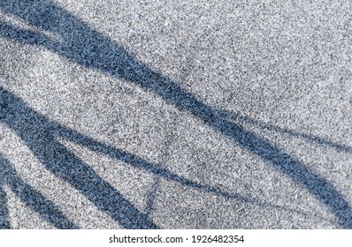 Shadows Of Grass On The Sand, Sidney Spit, Gulf Islands National Park Reserve Of Canada