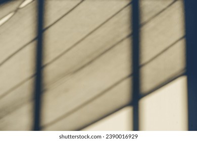 Shadows in Harmony: Abstract Patterns Cast on White Wall Texture