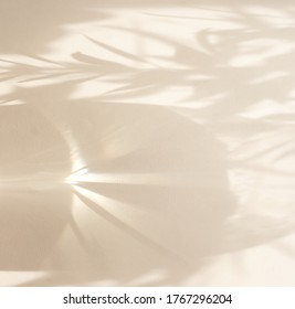 shadows leaves background on beige wall texture . copy space. floral card
