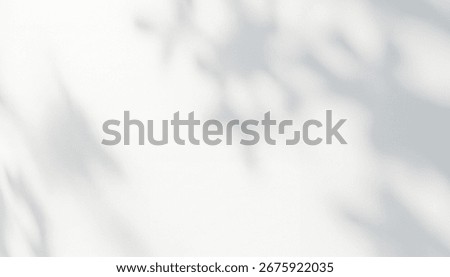 Shadows of leaves create abstract patterns on a white surface, forming soft organic silhouettes that evoke natural elegance and minimalist decorative beauty.