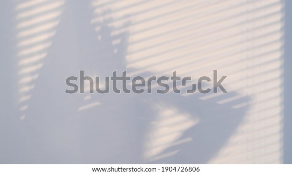 shadows on the wall from a window closed with\
blinds and a woman\'s silhouette. Blurry dark shadows moving on the\
wall.