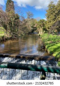 Shadows Over The Flowing Brook On A Sunny Day