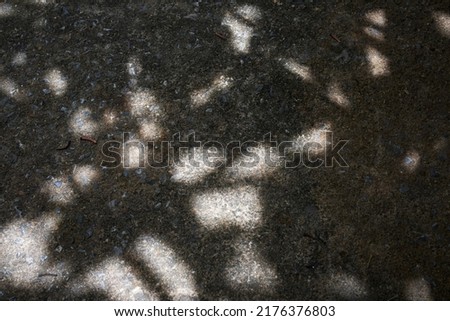 Similar – Image, Stock Photo Shadow of the Tree Summer