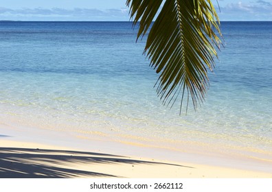 Shadows Of The Palm Tree On The Island Gan In Indian Ocean, Maldives