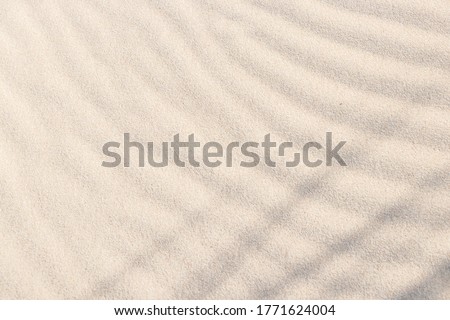 Shadows and patterns on the sand of dune. Sandy beach for the background. Sand texture. Background, sand, light, beige, wave, reflect, shadow, summer. Summer concept.