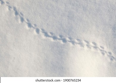 Shadows and patterns on the snow surface