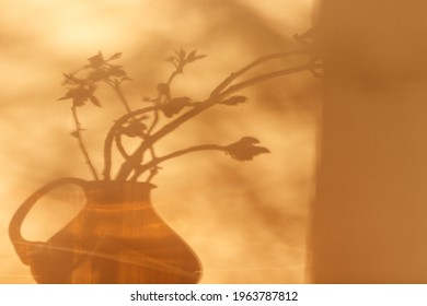Shadows of plants. Horse chestnut tree buds on sunny April day. Growing leaves in a glass vase. Springtime.