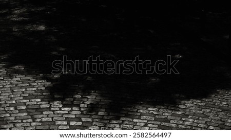 Similar – Image, Stock Photo Foliage | shadow play on the awning.