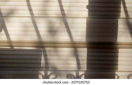 shadows in the roller blind on the window of a house
