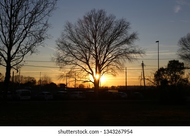 Shadows at sunset
