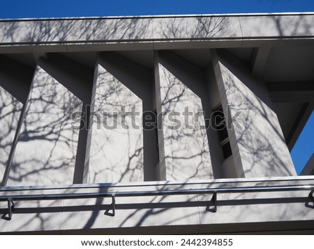 Shadows of tree branches on a 1970s office building wall.