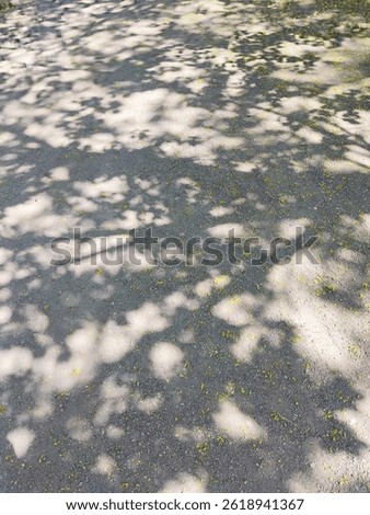Shadows from tree and branches on the ground, abstract natural background with shadow