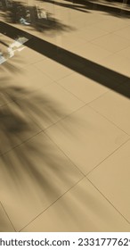 Shadows of tree and collumn cast on the floor tile in the afternoon sunset or sunrise