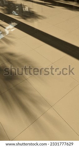 Shadows of tree and collumn cast on the floor tile in the afternoon sunset or sunrise