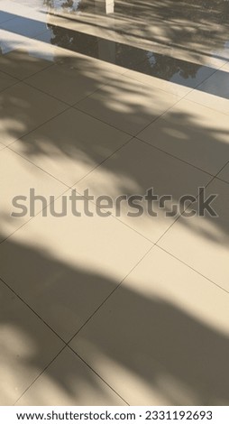 Shadows of tree and collumn casted on the floor in the afternoon or morning