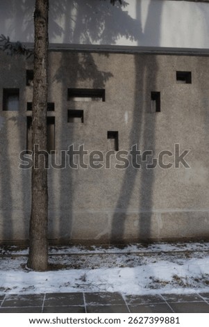 shadows from the trees fall on the wall, merging with the elements on the wall