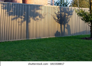 Shadows Of Trees On The Fence Of The Park At Sunset In September And The Shadows Of Two People - One Takes Pictures Of The Other Sitting On The Lawn