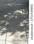 Shadows of trees reflected on the stone pavement, sunlight filtering through the trees                           
