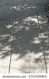 Shadows of trees reflected on the stone pavement, sunlight filtering through the trees                           