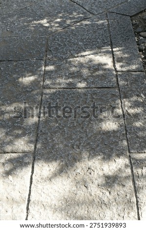 Shadows of trees reflected on the stone pavement, sunlight filtering through the trees                           