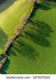 Shadows of trees from sunlight side light cornwall England uk from above aerial drone shot 