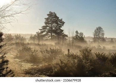 Shadows And Winter Sun On Blackheath Common, Surrey, UK