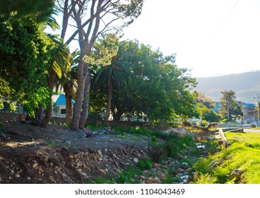 SHADOWY GREEN WELLSPRING BETWEEN GREEN GRASS AND TREES