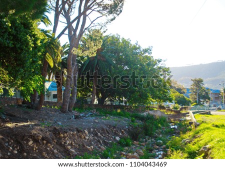 SHADOWY GREEN WELLSPRING BETWEEN GREEN GRASS AND TREES